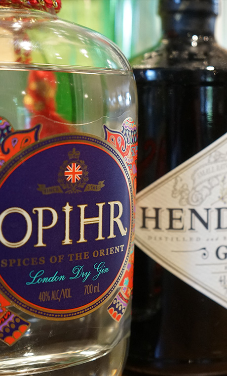 The best gins in Dolgellau at the Royal Ship Hotel near Barmouth and Twywn